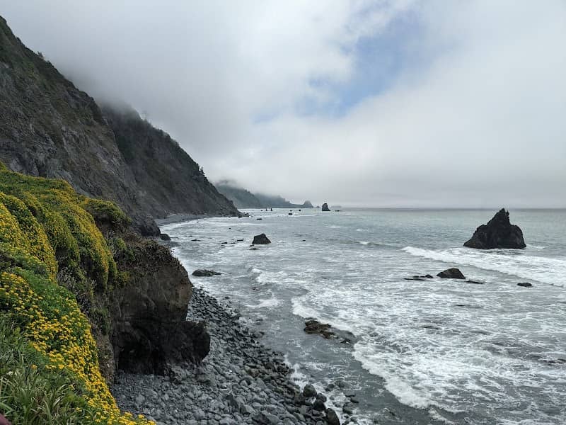 Del Norte Coast Redwoods State Park - Image 3