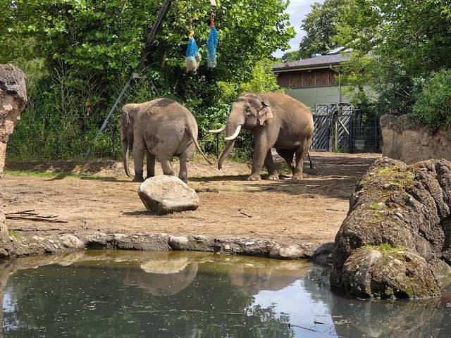 Dublin Zoo - Image 1