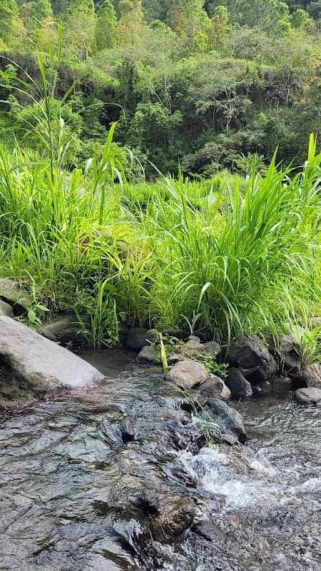 Waduk Ical - Image 1