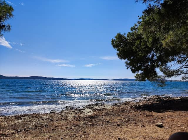Plage de pins - Image 1