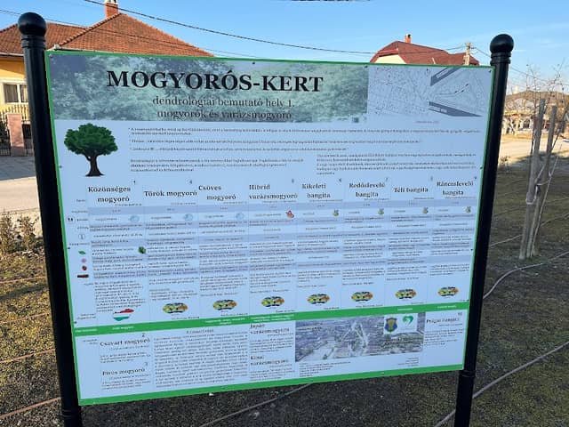 Mogyorós-kert - Image 1