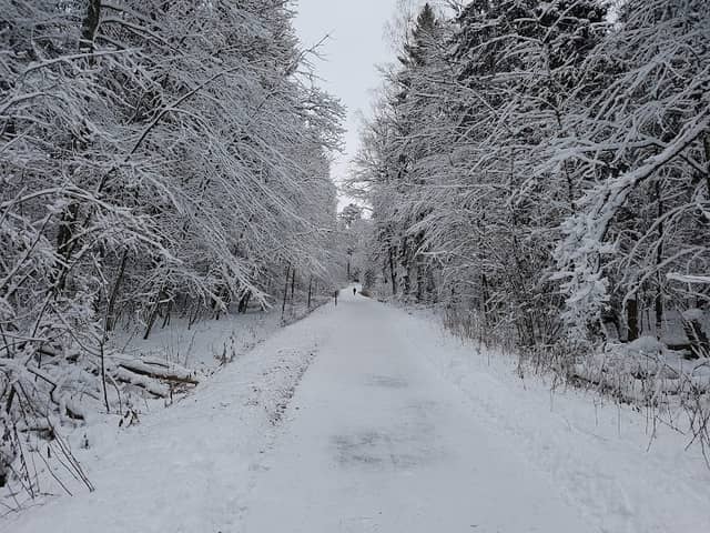 Vallaskogen - Image 1