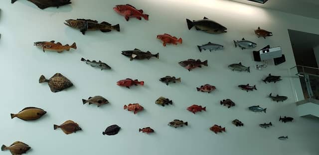 Auke Bay Lab - Image 2