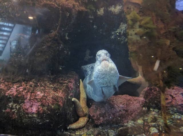 Auke Bay Lab - Image 1