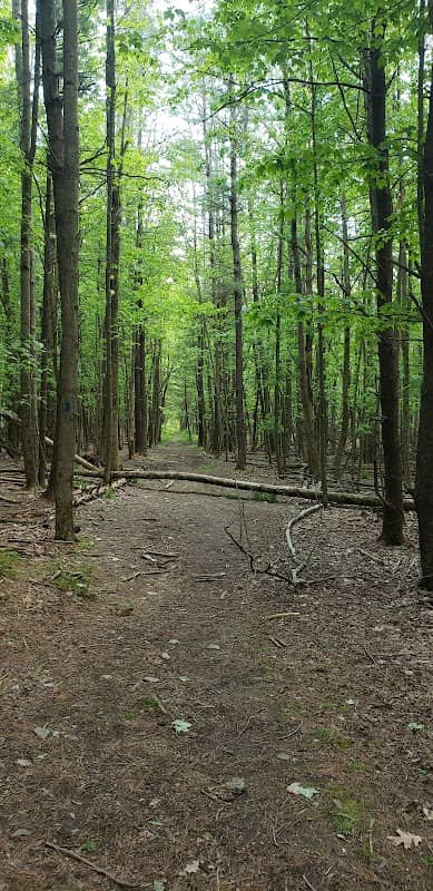Houghton Land Preserve - Image 2