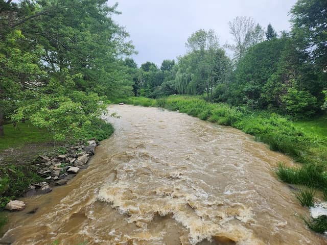 Little Rideau Creek - Image 1