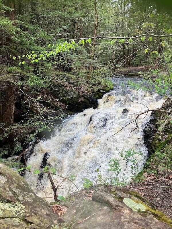 Waterfall Clifford park - Image 1