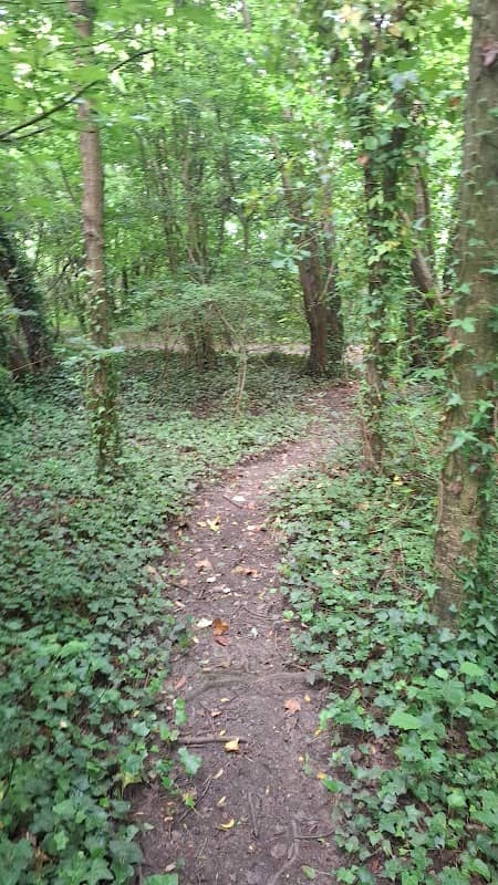 Victoria park - Image 1