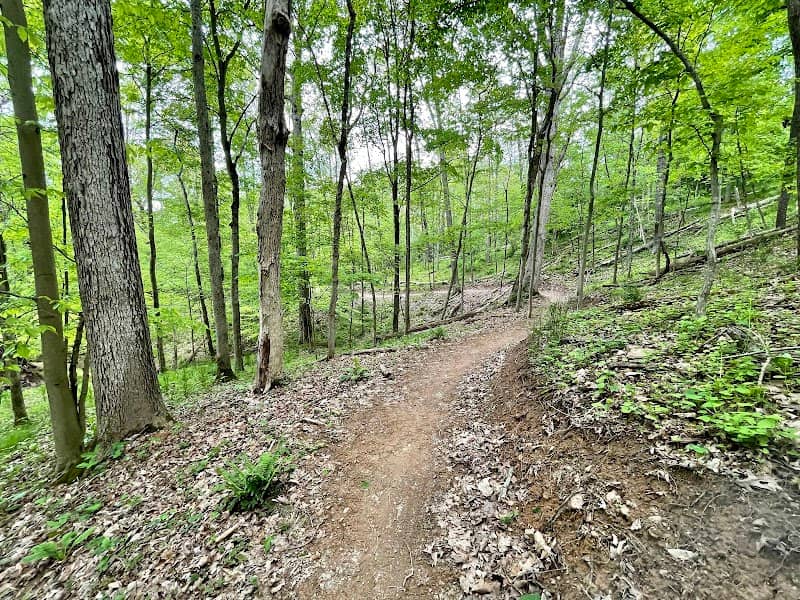 Watters Smith Memorial State Park - Image 1