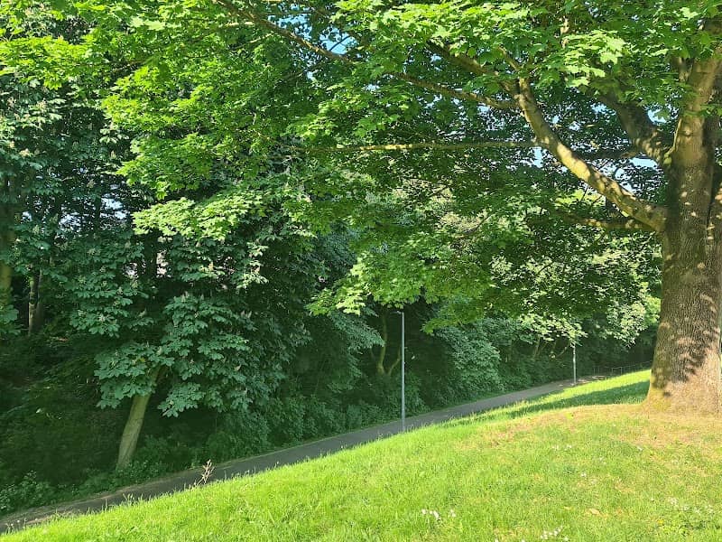 The lea Brook valley - Image 1