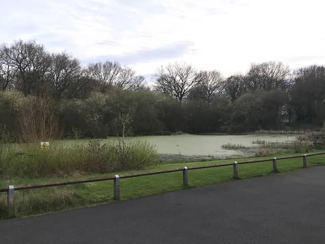 Hall Wood Pond - Image 3