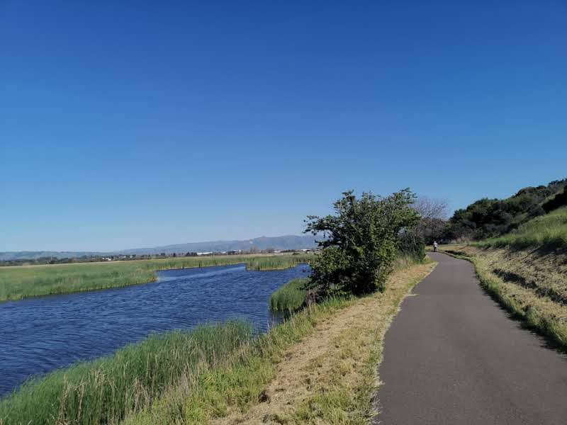 Coyote Hills Regional Park - Image 1
