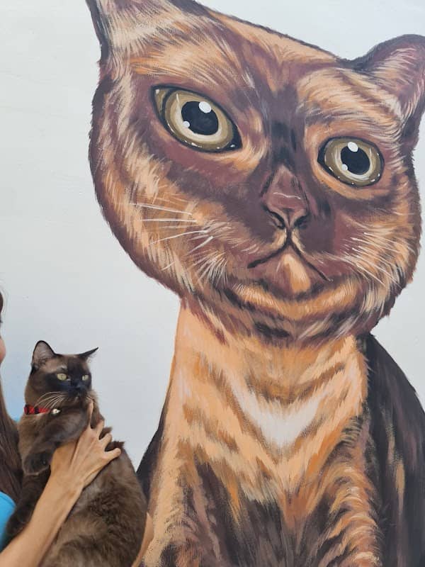 Street Cat Mural - Image 2