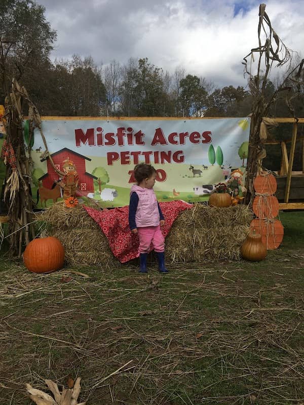 Misfit Acres Farm - Image 1