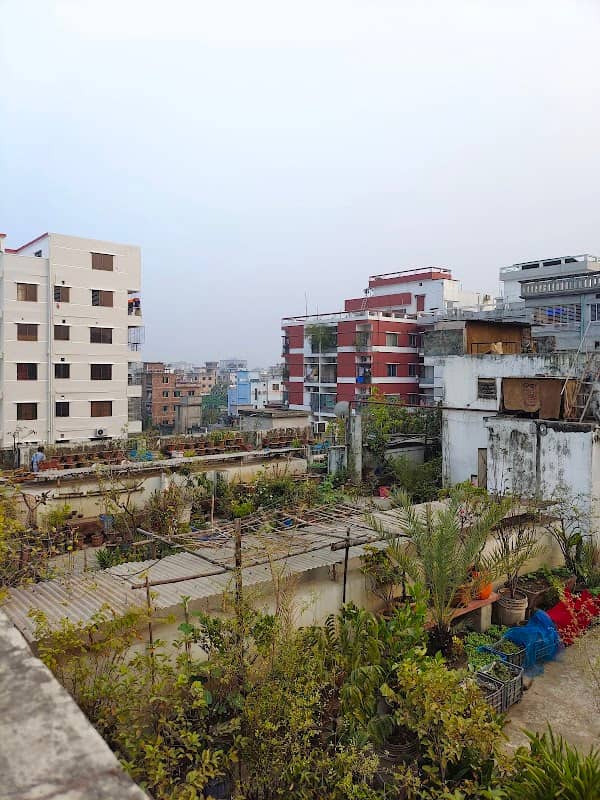 Gandaria গেন্ডারিয়া - Image 1