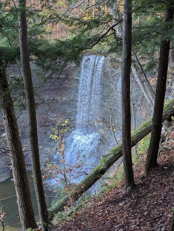 Cascade Falls Upper Viewing Deck - Image 1