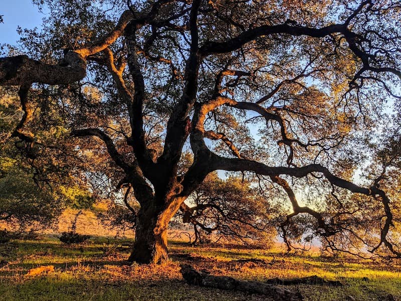 Mt Burdell Hike - Image 2