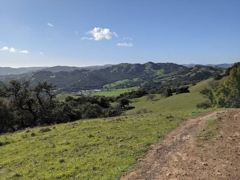 Mt Burdell Hike - Image 1