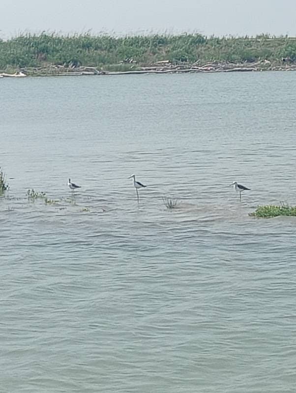 Pescaturismo escursioni Maestri - Image 2