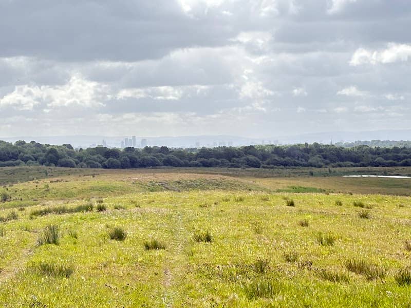 Skylark Hill - Image 2
