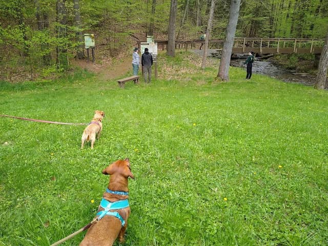 Stephenhouse Trail - Image 3