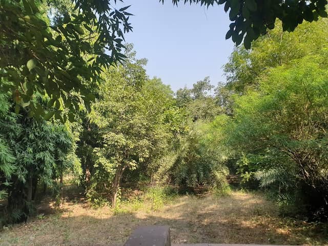 Pariyon Ka Bagh - Image 1