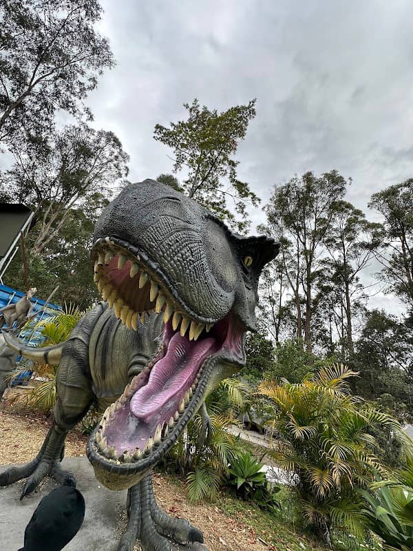 Dinosaur Forest - Image 1