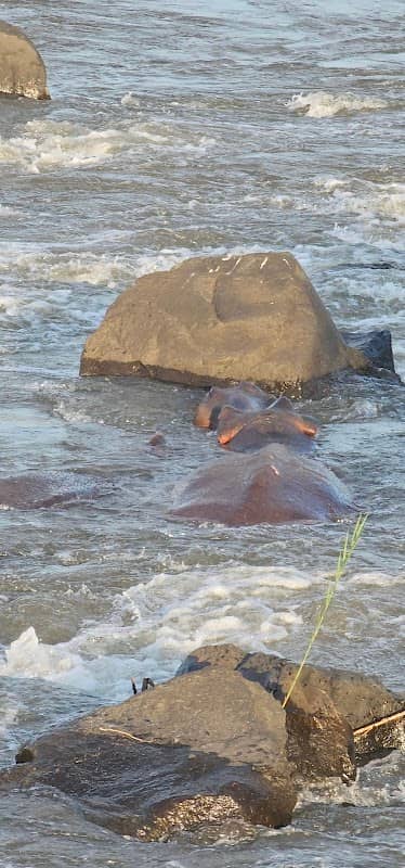 Lower Sabi Camp sites - Image 2
