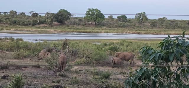 Lower Sabi Camp sites - Image 3