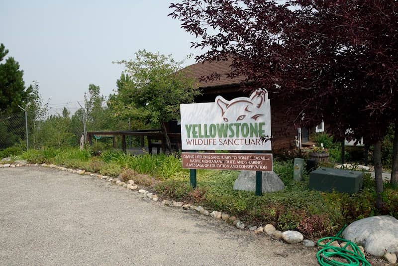 Yellowstone Wildlife Sanctuary - Image 2