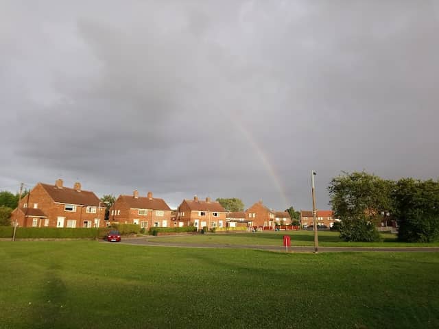 The Centre Field - Image 2