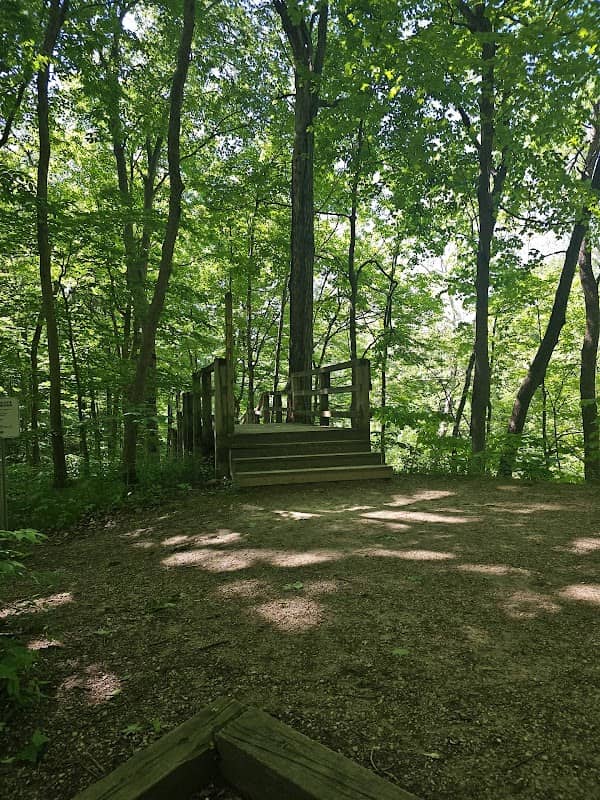 Observation Deck - Image 3