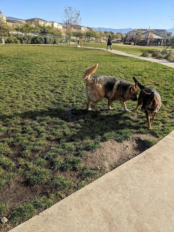 Gabion Ranch Dog Park - Image 1