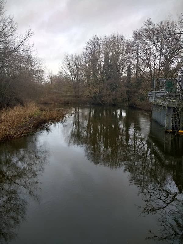 Mile Cross Marsh - Image 1