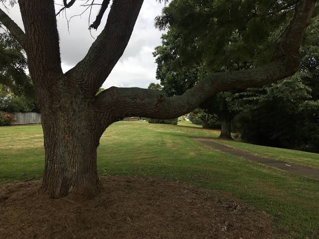 Lockerbie Park - Image 1