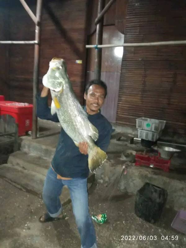 Sepot mancing - Image 1