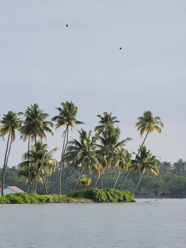 Kumbalangi Nights - Image 1