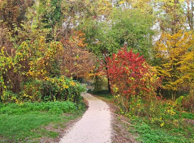 Parc des Prés de la Bièvre - Image 2