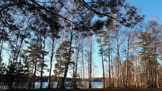 Ozero Inzhenernoye - Image 1