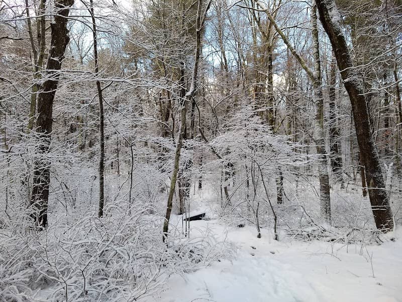 John's Woods at Tattersall Farm - Image 2