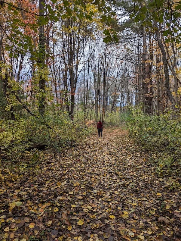 John's Woods at Tattersall Farm - Image 1