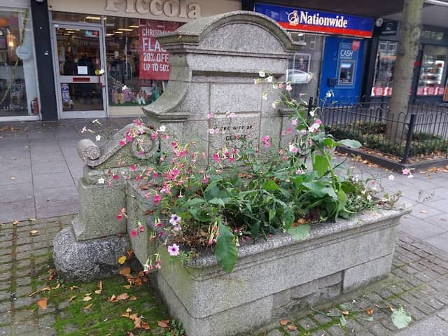 Larkin's Horse Trough - Image 1