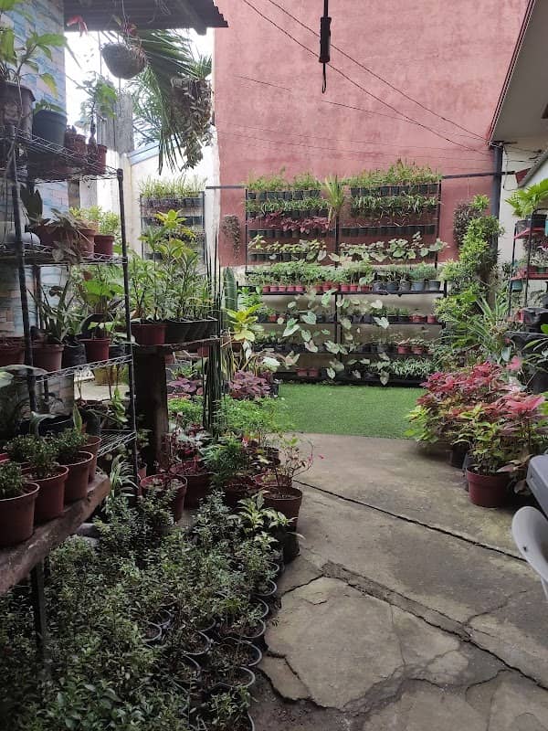 Romel's Virtual Garden - Image 2