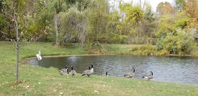 Price Memorial Park - Image 1