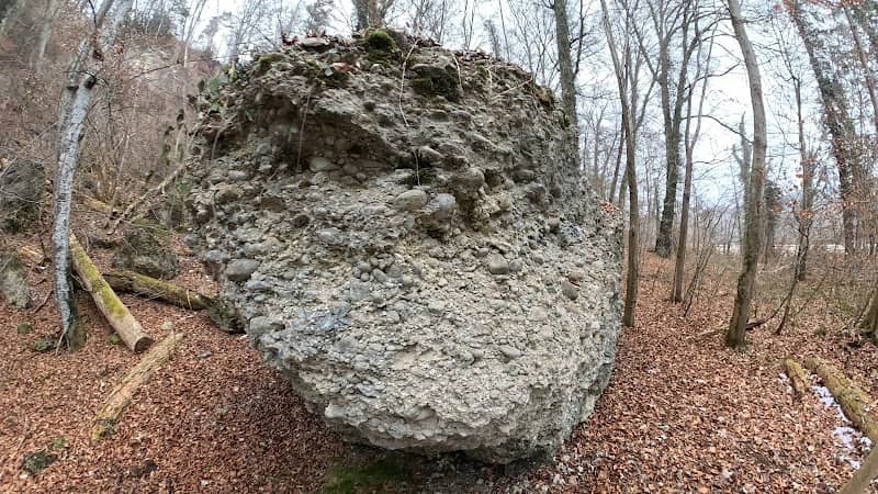 Nagelfluh im Isartal - Image 1