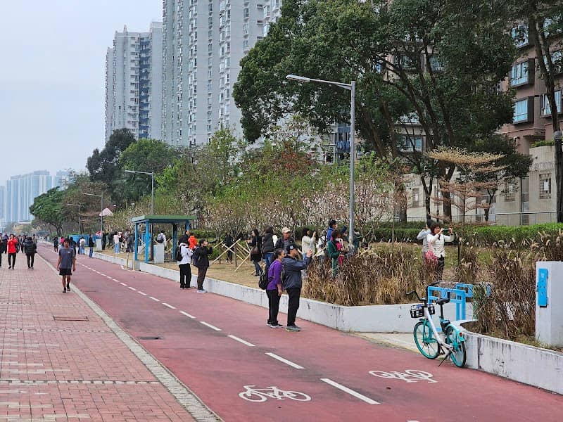 On King Street Park - Image 1