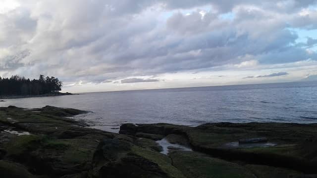 David Cove - Image 1