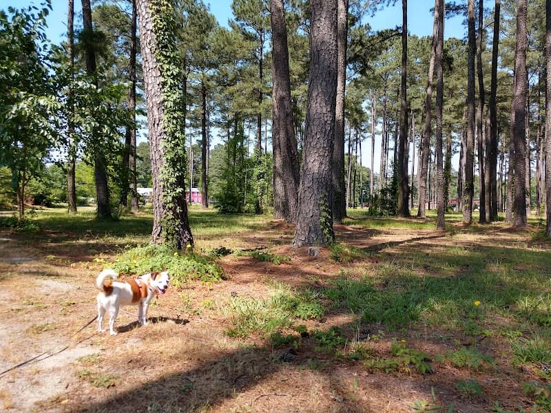 Arboretum at Johnston Community College - Image 1