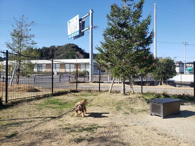 Olive no Mori dog run (Mutsuzawa) - Image 1