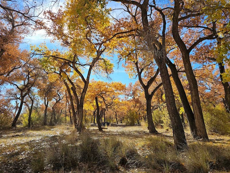 Willow Creek Trailhead and Open Space - Image 2